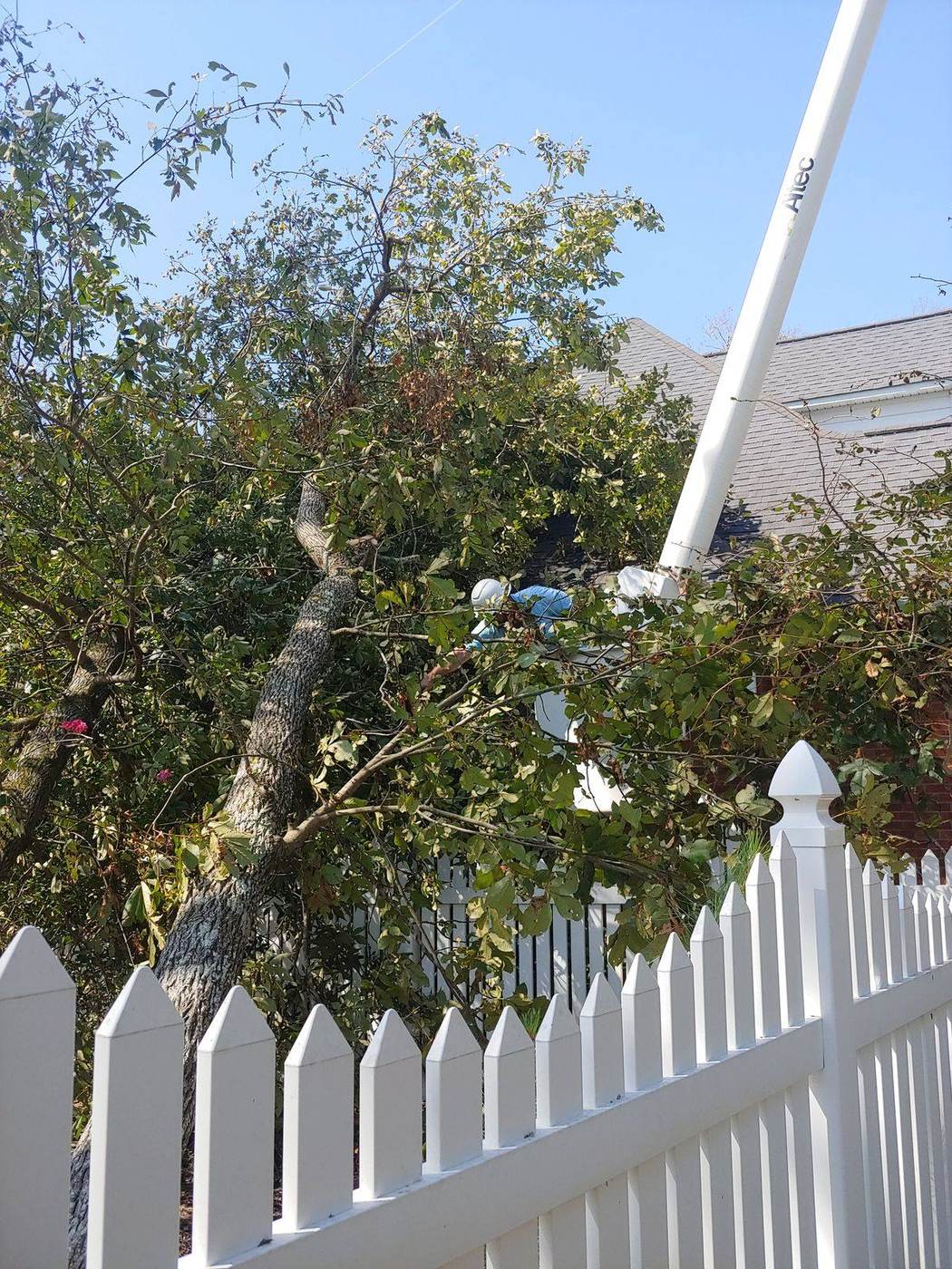 Storm-damaged tree leaning on a home before removal