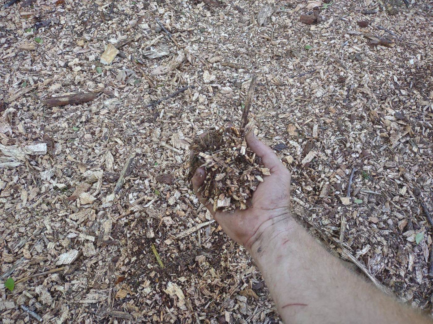 Fine biodegradable mulch left behind after forestry mulching