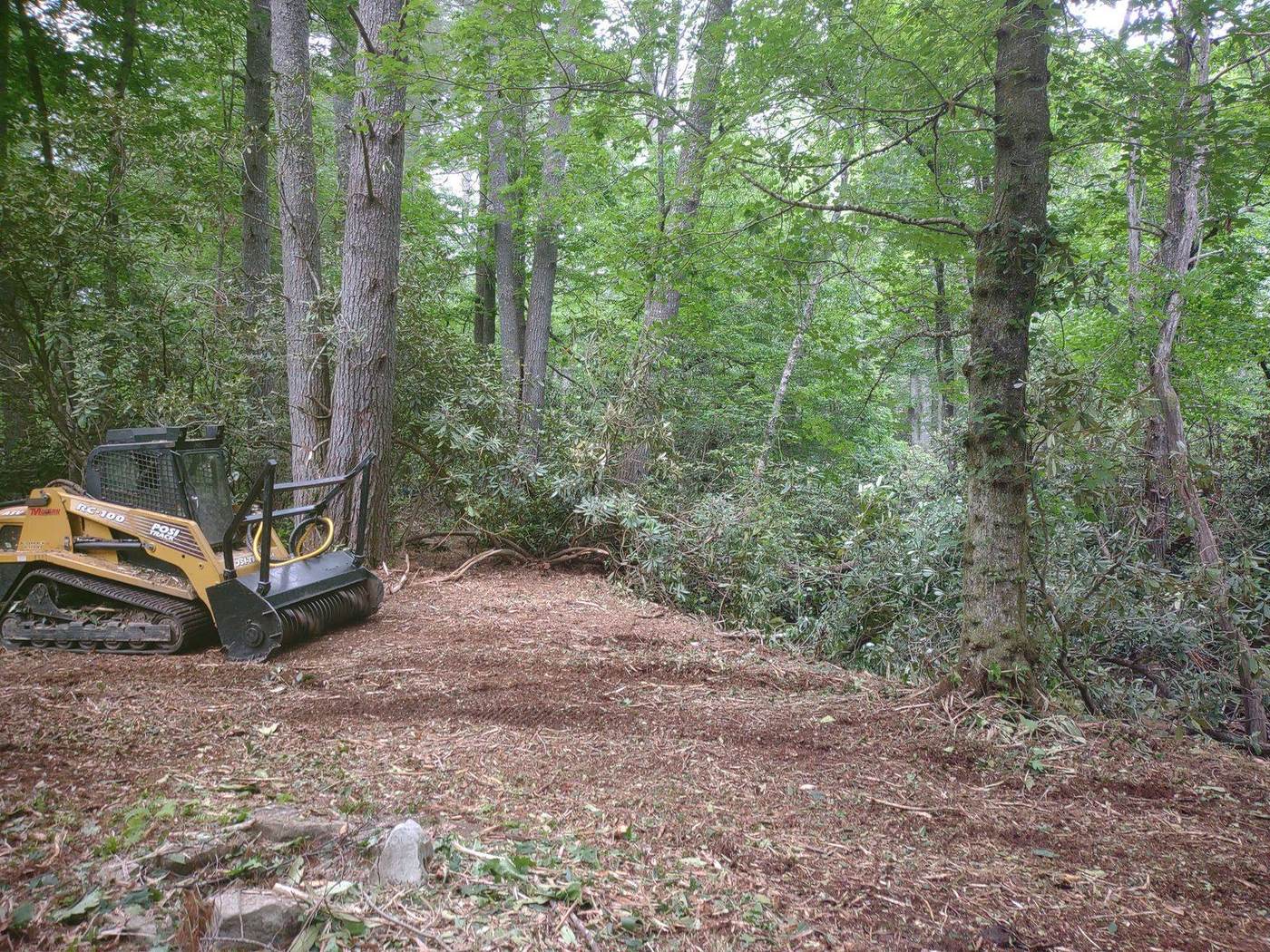 Forestry mulching in wooded terrain