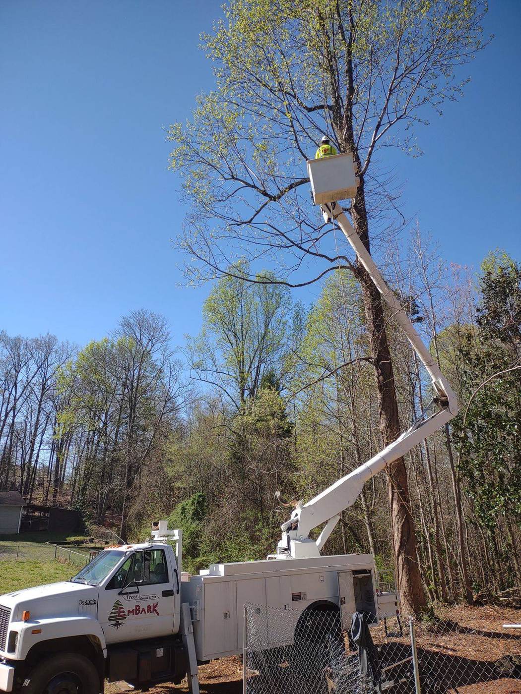 Embark bucket truck and climber removing a tree